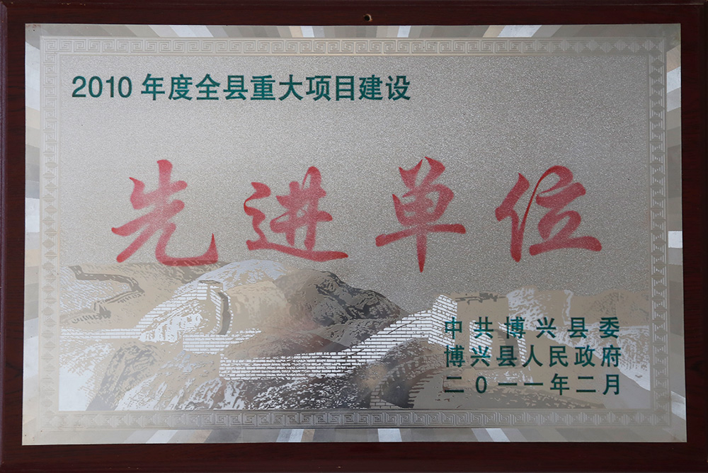 2010年度全縣重大項目建設(shè) 先進單位