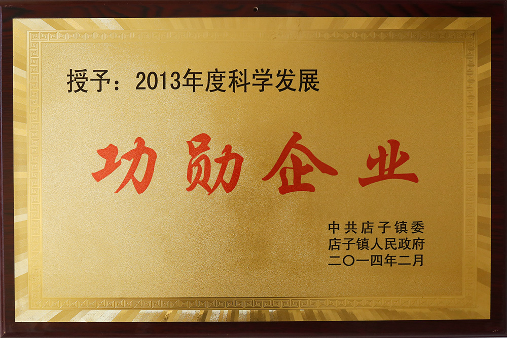  2013年度科學(xué)發(fā)展功勛企業(yè)