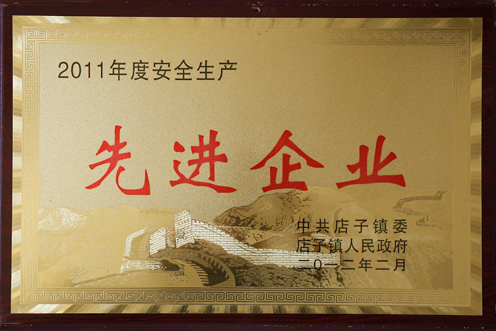 2011年度安全生產(chǎn)先進企業(yè)